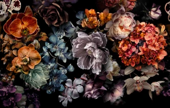 Fototapet Dark Floral Stilleben med orkideer, hortensiaer og pæoner 2,7 x 4,24 m 