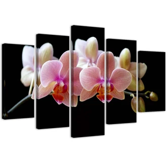 Leinwandbild 5 teilig, Rosa Orchidee 