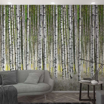 Fototapete mit Birken im Wald Weiß, Grün ,Floral 2,70 x 1,59 m 