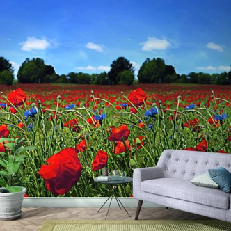 Fototapete mit Blumenwiese und blauem Himmel Rot, Grün ,Floral 2,70 x 1,59 m 