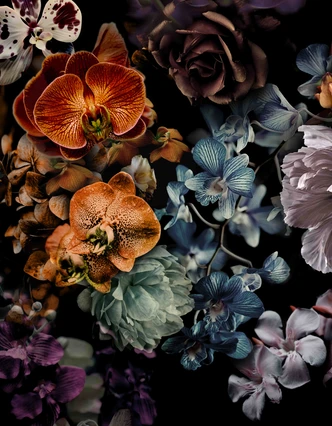 Fototapet med motiv mörkt blommigt stilleben med orkidéer 3,4 x 2,65 m 