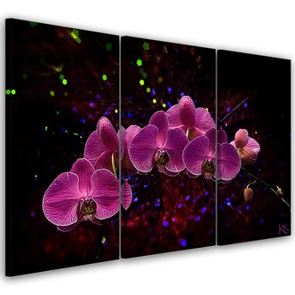 Leinwandbild 3 teilig, Orchidee auf einem dunklen Hintergrund 