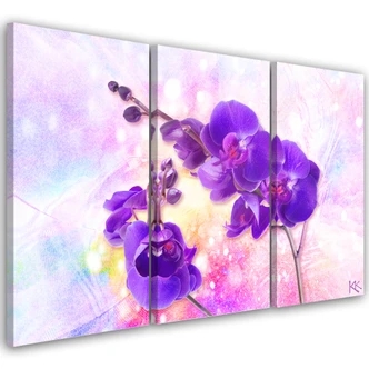 Leinwandbild 3 teilig, Lila Orchideenblume 