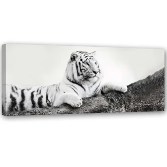 Canvasbillede, Tiger dyreliv natur 