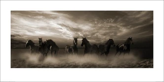 Poster Malcolm Sanders - Wild Stampede art print (100 x 50 cm) 