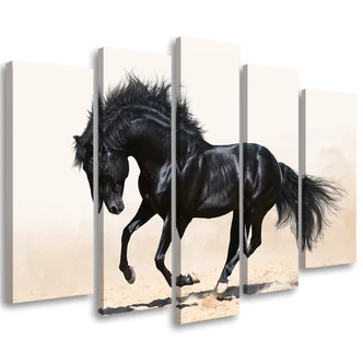 Leinwandbild 5 teilig, Galopp des schwarzen Pferdes 