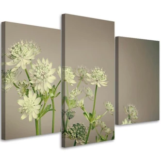 Leinwandbild 3-teilig, Feld Blumen Weiß 