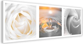 Leinwandbild, Rose Blumen mit Tropfen 