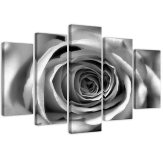 Leinwandbild 5 teilig, Rosenblüte Schwarz und Weiß 