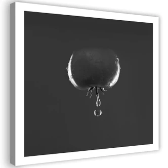 Leinwandbild, Tomate Wassertropfen 