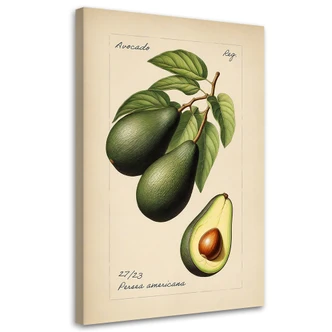 Leinwandbild Obst Weinlese Avocado 