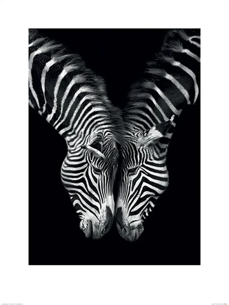 Poster Marina Cano - Samen kunstdruk (60 x 80 cm) 