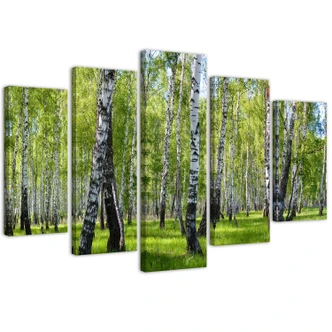Leinwandbild 5 teilig, Birkenwald 