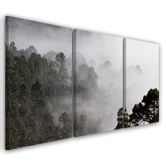 3-delige canvas print, Bos in de mist 