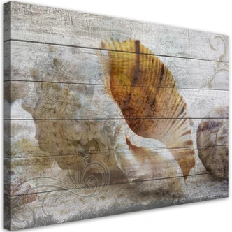 Leinwandbild, Muscheln Vintage Stil 