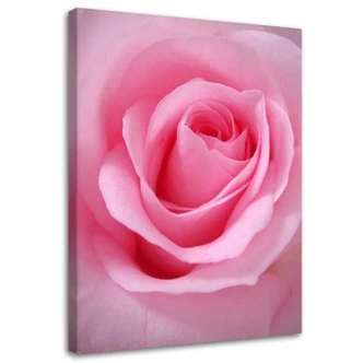 Leinwandbild, Rosa Blumen Pflanzen 