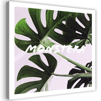 Leinwandbild, Monstera Exotische Blätter 