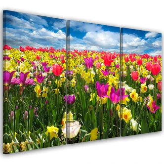 Leinwandbild 3-teilig, Bunte Tulpen Blumen Natur 