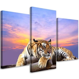 Leinwandbild 3-teilig, Tiger Wild Tiere 