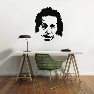 Muursticker Grote Natuurkundige 