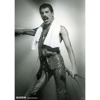 Poster Queen (Freddie Mercury) - Live On Stage, Poster (59,4 x 84 cm) 