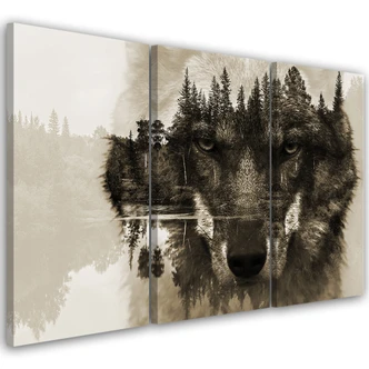Leinwandbild 3-teilig, Wolf Tiere Schwarz Weiß 