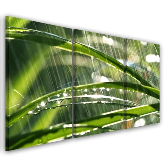 Stampa su tela 3 pezzi, foglie verdi 