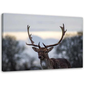Canvasbillede, Hjort 