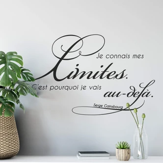 Wandtattoo Je connais me limites... 