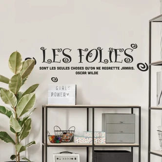 Wandtattoo Les folies... 