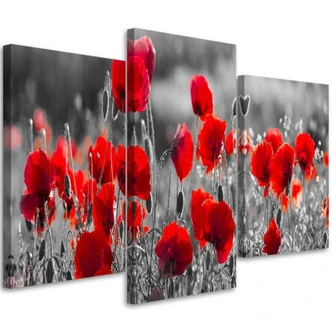 Leinwandbild 3-teilig, Rote Mohnblumen Pflanzen 