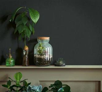 Vliesbehang effen modern in zwart  