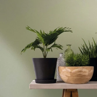 Tapeta z włókniny teksturowana gładka nowoczesna matowa w kolorze oliwkowej zieleni 