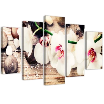 Leinwandbild 5 teilig, Orchidee Steinblume 