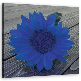 Leinwandbild, Blaue Sonnenblume 
