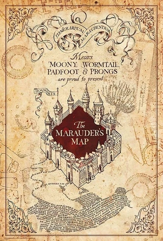 Poster, film poster Harry Potter - Map of the Drifter 61x91,5 cm 