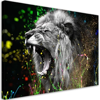 Canvasbillede, Løve dyr natur 