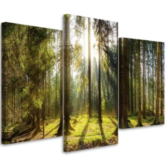 Leinwandbild 3-teilig, Wald Strahlen Baum Natur 