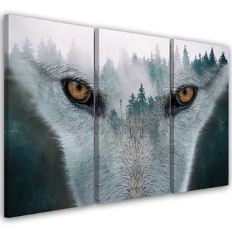 Leinwandbild 3-teilig, Wolf Wald Nebel Natur Bäume 