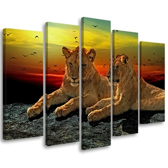 Leinwandbild 5 teilig, Löwen Savanne Afrika Natur 
