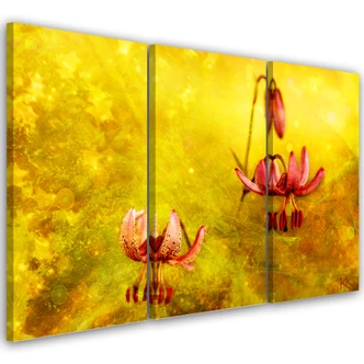 Leinwandbild 3 teilig, Verdosserte Tulpenblüten 