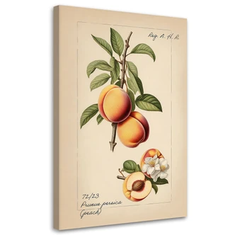 Leinwandbild Vintage-Obst Pfirsich 