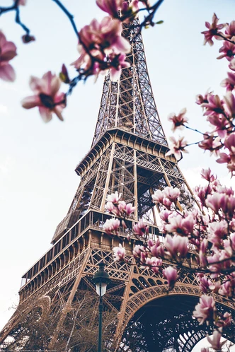 Poster Paris - Eiffelturm 61x91,5 cm 