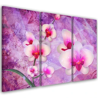Leinwandbild 3 teilig, Orchideenblüten Abstraktion 