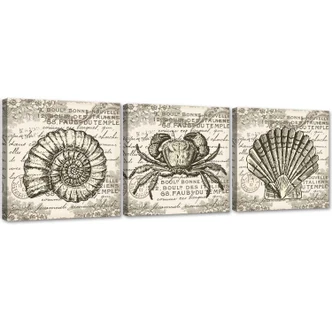Leinwandbild 3-teilig, Retro-Muscheln 