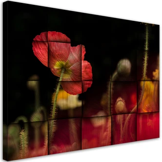 Leinwandbild, Rote Mohnblume 