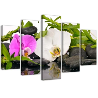 Leinwandbild 5 teilig, Orchideen-Bambus-Steine 