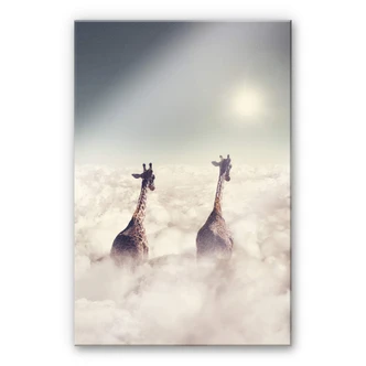 Plexiglas Loose - Giant Giraffes 