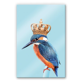 Plexiglas Loose - Kingfisher 