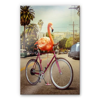 Plexiglas Loose - Nothing is Impossible 